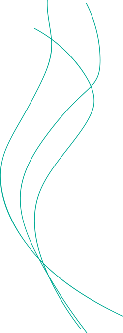 Asset 4SSmvuvi